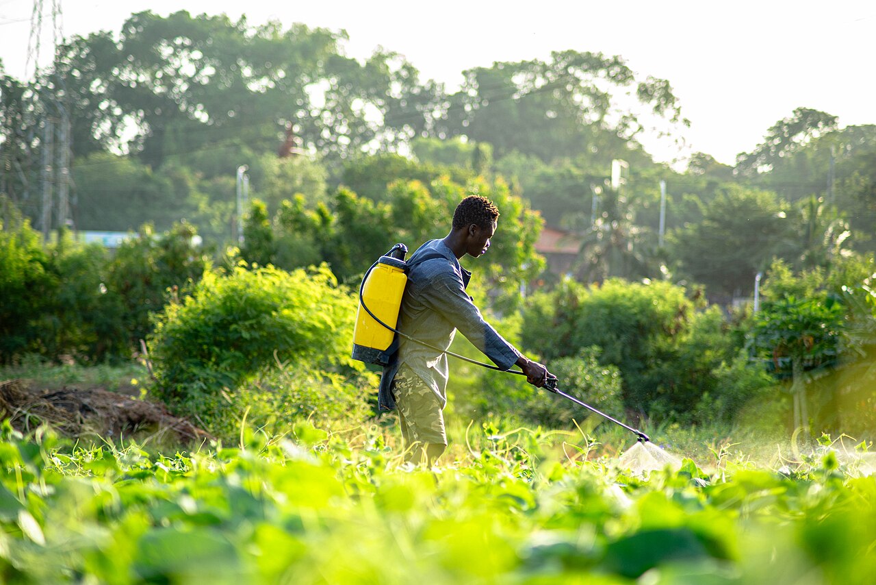 Farmer in Field